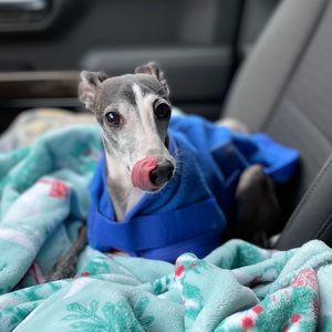 Meet your Posher, Sharon